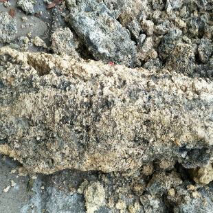 南京清理隔油池服務(wù) 